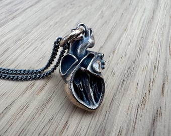 Anatomical Heart Pendant with Cutaway Section