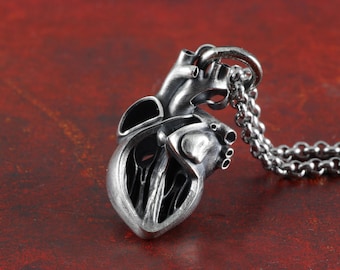 Anatomical Heart Pendant with Cutaway Section - Sterling Silver Realistic Heart Necklace