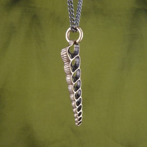 Shell Necklace Bronze Spiral Shell Pendant Turritella Shell image 6