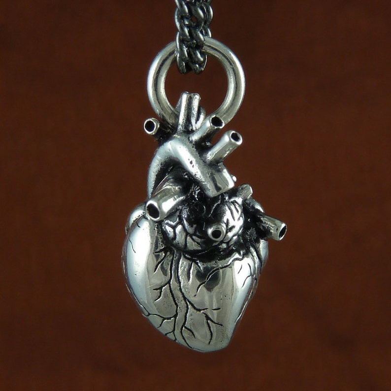 Anatomical Heart Jewelry Antique Silver Anatomical Heart on 18 Gunmetal Chain image 4