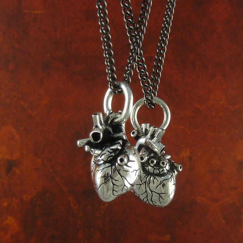 Anatomical Heart Necklaces Two Hearts Hearts for Lovers Two Antique Silver Small Anatomical Heart Pendants on 24 Gunmetal Chains image 4