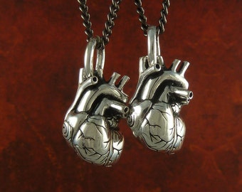 May include: Two silver anatomical heart pendants on chains. The hearts are detailed and realistic, with visible chambers and vessels.