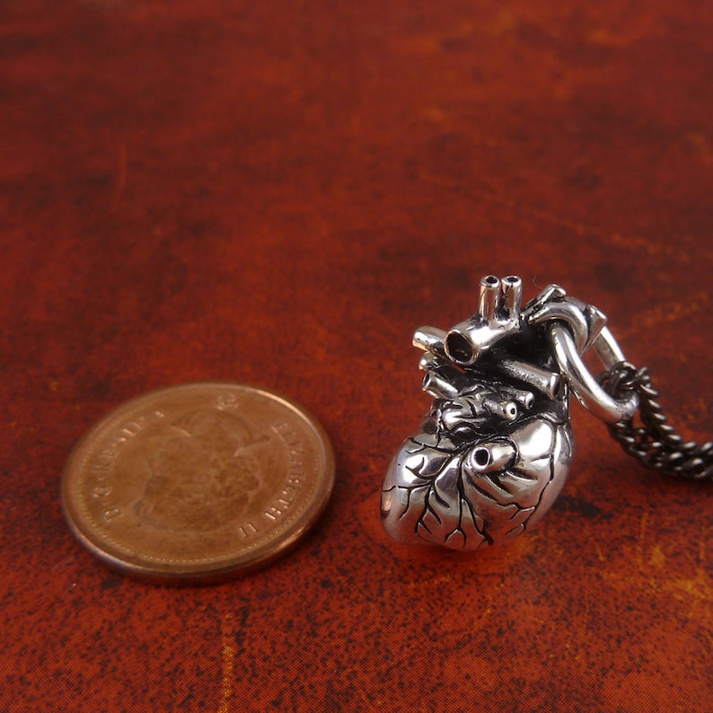Small Anatomical Heart Necklace Antique Silver Small Anatomical Heart Pendant image 5
