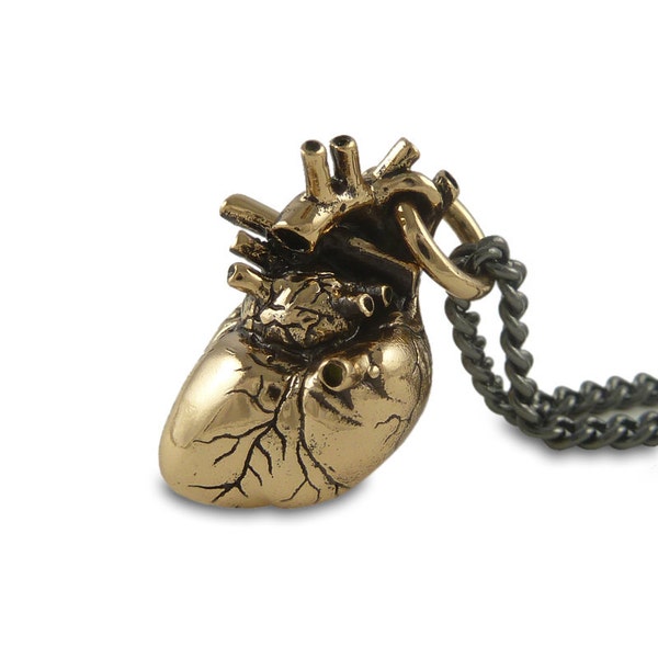 Anatomical Heart Necklace Bronze Anatomical Heart Pendant on 24" Gunmetal Chain