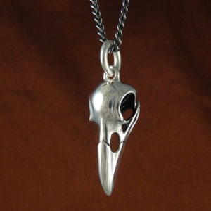 May include: Silver pendant necklace featuring a detailed bird skull design. The pendant is hanging from a black chain.