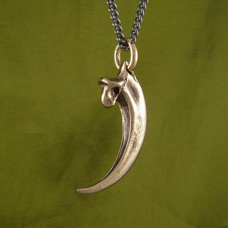 Bald Eagle Talon Necklace Bronze Eagle Talon Pendant image 5