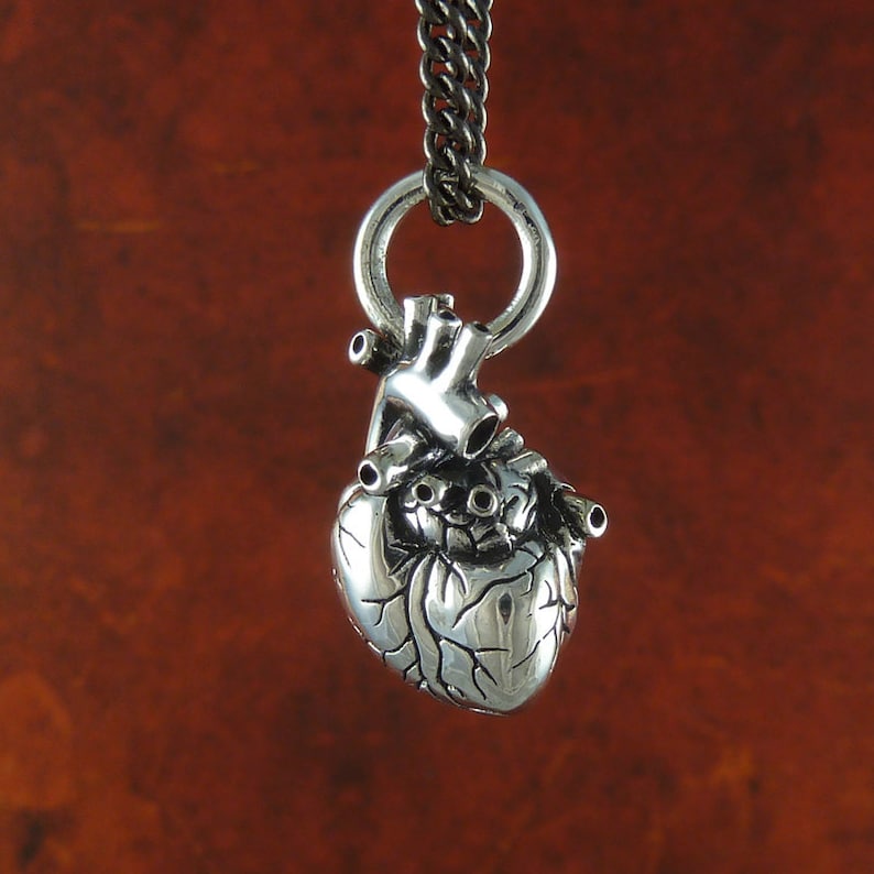 Small Anatomical Heart Necklace Antique Silver Small Anatomical Heart Pendant image 3