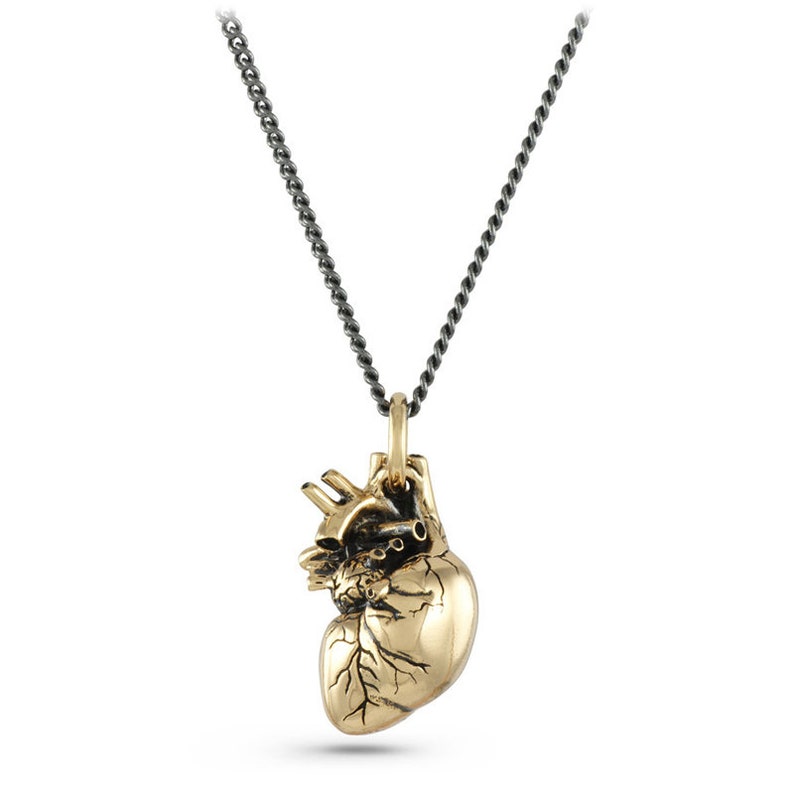Anatomical Heart Necklace Bronze Anatomical Heart Pendant image 2