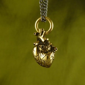 Gold Heart Necklace Small 24 Karat Gold Plated Anatomical Heart Pendant Heart of Gold image 3