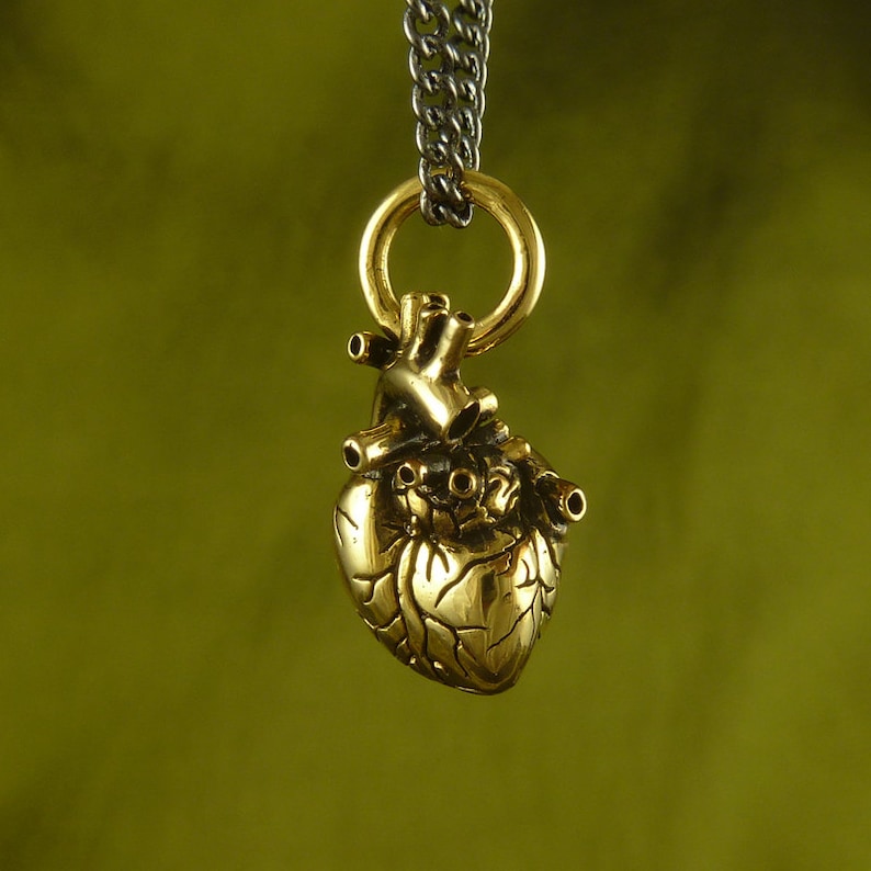 Gold Heart Necklace Small 24 Karat Gold Plated Anatomical Heart Pendant Heart of Gold image 3