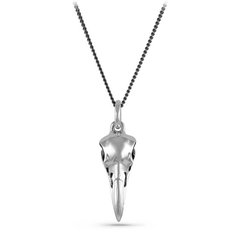 May include: A silver pendant necklace featuring a detailed bird skull design. The necklace has a black chain.