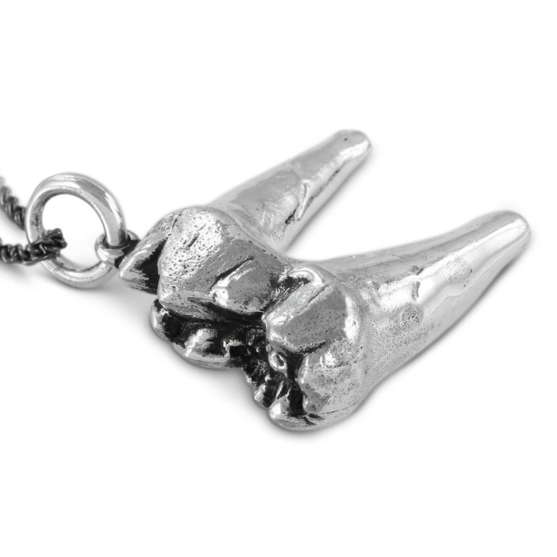 Antique Silver Cave Bear Molar Tooth on Gunmetal Chain Molar Tooth Pendant Tooth Necklace
