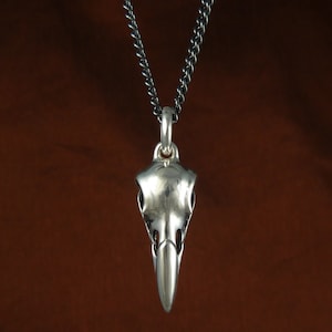 May include: A silver pendant necklace featuring a detailed bird skull design. The pendant is attached to a black chain.