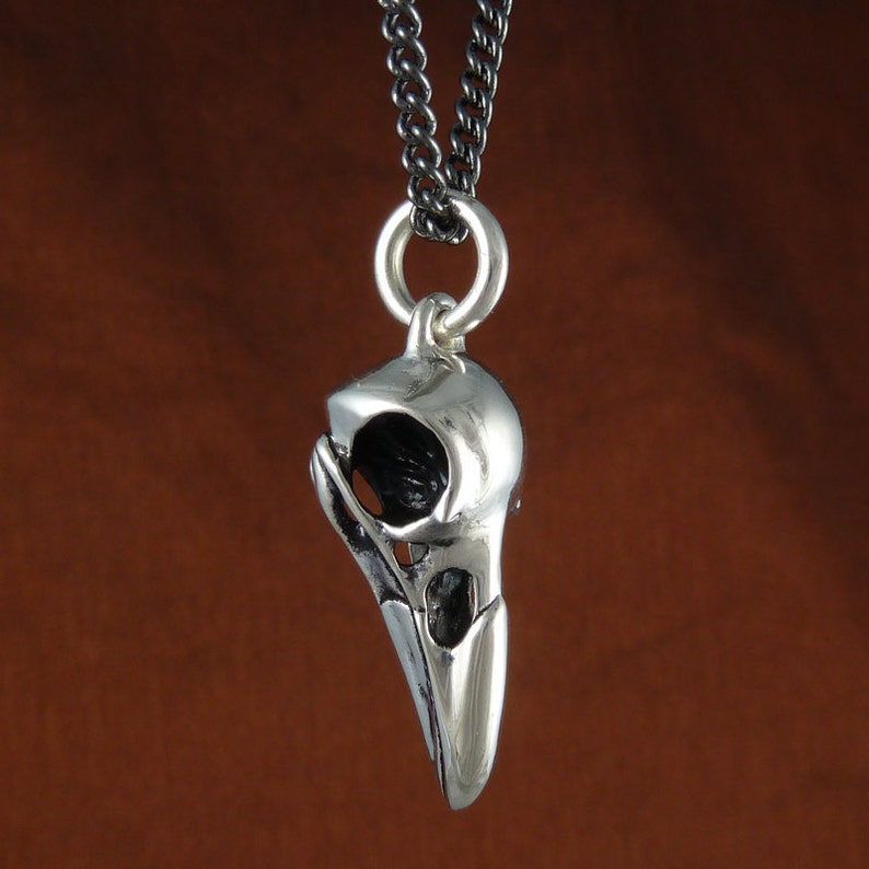 May include: A silver bird skull pendant necklace with a black chain. The pendant is detailed and realistic, with a hollowed-out skull and a beak.
