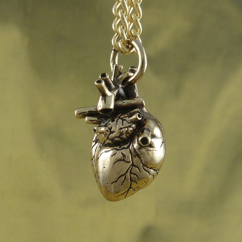 Anatomical Heart Necklace Bronze Anatomical Heart Pendant image 3