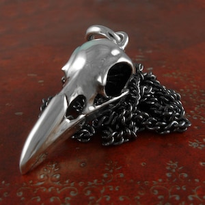 May include: A silver bird skull pendant on a black chain. The pendant is detailed and realistic, with a hollow eye socket and a sharp beak.