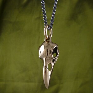 May include: A gold-colored bird skull pendant on a silver chain. The pendant is detailed and realistic, with a textured surface and visible eye sockets.