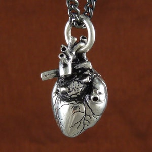 May include: A silver anatomical heart pendant with a detailed design. The pendant is attached to a silver chain.