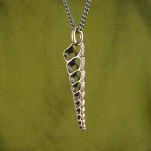 Shell Necklace Bronze Spiral Shell Pendant Turritella Shell image 4