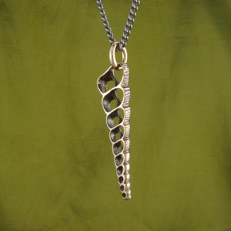 Shell Necklace Bronze Spiral Shell Pendant Turritella Shell image 4