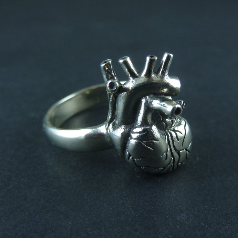 Anatomical Heart Ring White Bronze Anatomical Heart Ring Silver Heart Ring image 4