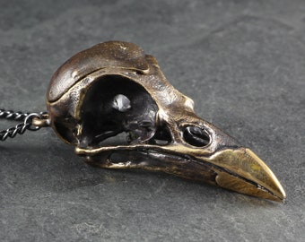 Bird Skull Locket - Bronze Magpie Skull Locket - Bird Skull Necklace