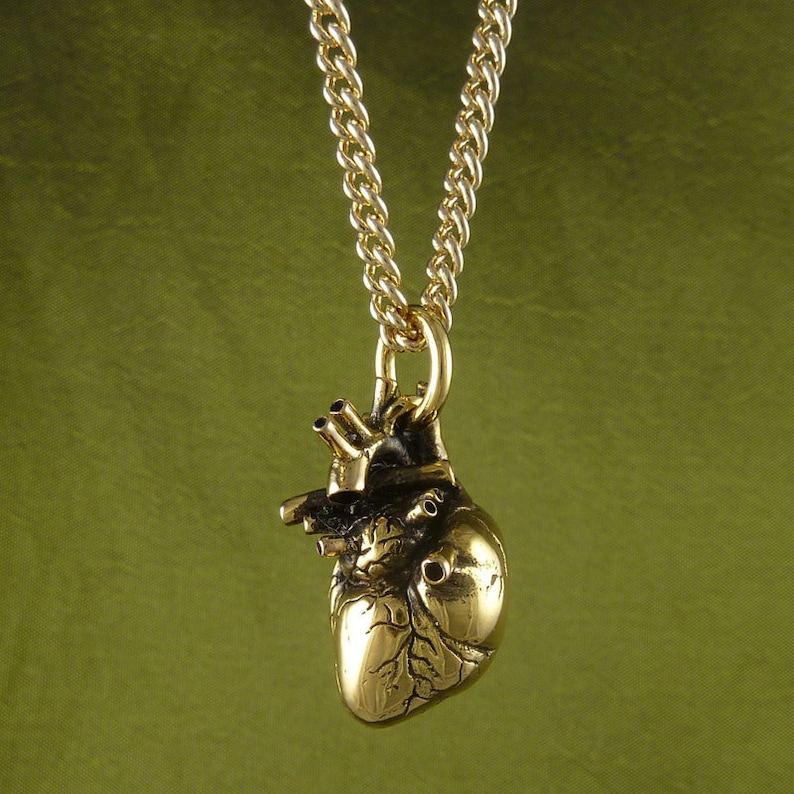 Gold Anatomical Heart Necklace 24 Karat Gold Plated Bronze - Etsy