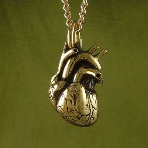 Valentines Day Heart - 24k Gold Plated Anatomical Heart Necklace - Gold Heart