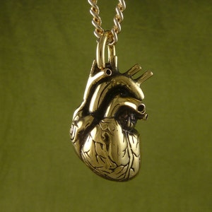 Valentinstag Herz - 24k vergoldete anatomische Herz Halskette - Goldherz