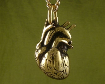 Valentines Day Heart - 24k Gold Plated Anatomical Heart Necklace - Gold Heart