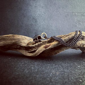 以下が含まれることがあります： 黒いチェーンに黒と金の鳥の頭蓋骨のペンダントネックレス。ネックレスは流木の上に置かれています。
