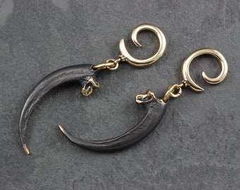 May include: A pair of black claw-shaped earrings with gold spiral accents. The earrings are made of metal and have a unique, organic design.
