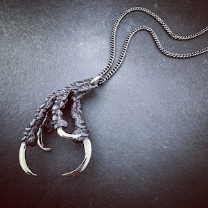May include: A silver chain necklace with a black claw pendant. The claw is detailed and has sharp points.
