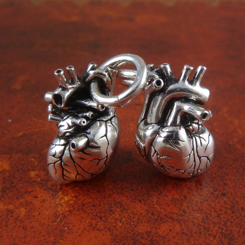 Anatomical Heart Necklaces Two Hearts Hearts for Lovers Two Antique Silver Small Anatomical Heart Pendants on 24 Gunmetal Chains image 2