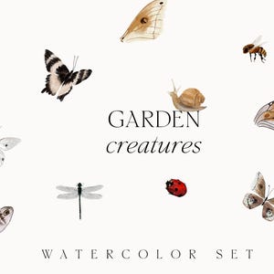 May include: A watercolor set featuring various garden creatures including butterflies, a snail, a bee, a dragonfly, and a ladybug. The text GARDEN creatures and WATERCOLOR SET is printed in black, centered among the illustrations on a white background.