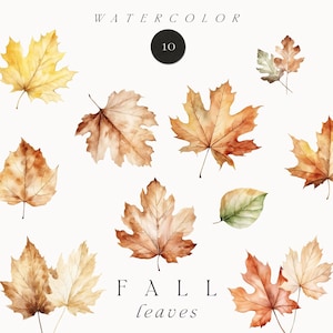 Op de afbeelding: Een verzameling aquarelillustraties met diverse herfstbladeren in tinten geel, oranje, bruin en groen. De tekst WATERCOLOR 10 en FALL leaves wordt weergegeven in een zwart lettertype. De bladeren zijn individueel en in kleine groepjes gerangschikt.