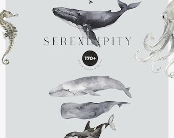 以下が含まれることがあります： クジラ、タツノオトシゴ、タコなど、水彩画で描かれた海洋生物のイラストが、薄いグレーの背景に表示されています。「SERENDIPITY」の文字はセリフ体で書かれています。円形のバッジには「170+ OCEAN FLORA & FAUNA」と書かれています。