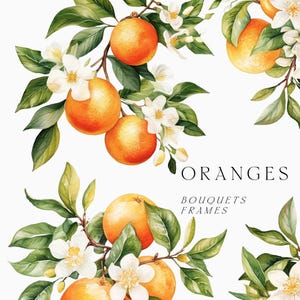 Puede incluir: Ilustración en acuarela de ramas de naranjos con naranjas maduras, hojas verdes y flores blancas. La palabra "ORANGES" se muestra en una fuente decorativa, con "BOUQUETS FRAMES" debajo. Fondo blanco.