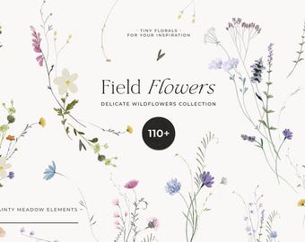 Field Flowers clipart - Watercolor Wildflowers - Tiny dainty floral for invites (PNG)