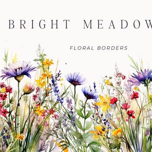 May include: A watercolor illustration of a meadow with purple, yellow, red, and white wildflowers and green grasses. The text BRIGHT MEADOW and FLORAL BORDERS is printed in black at the top center of the white background.