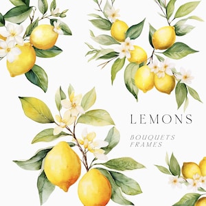 Clipart de limones en acuarela: coronas florales, ramos y ramitas de limón de Amalfi para invitaciones y tarjetas (PNG)