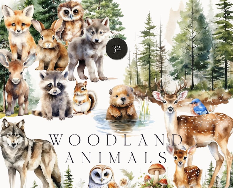 Woodland Animals Clipart - Watercolor Forest Animals PNG - Wild Animal ...