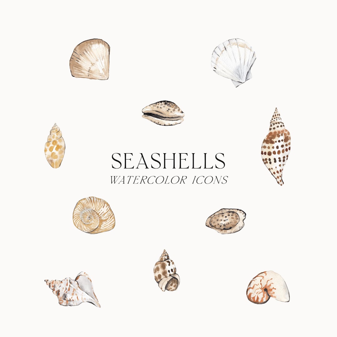 Watercolor Seashells - Hand-painted Neutral Shells, Beach Icons ...