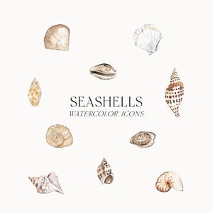 Op de afbeelding: Een verzameling aquarelillustraties met diverse schelpen in tinten bruin, beige en wit. De tekst SEASHELLS WATERCOLOR ICONS staat in het midden tussen de schelpen, waaronder spiraalvormige, tweekleppige en kegelvormige variëteiten.