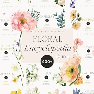 Könnte beinhalten: Eine Aquarell-Grafik mit einer floralen Enzyklopädie mit Illustrationen verschiedener Blumen, darunter Pfingstrosen, Mohnblumen und Lilien. Der Text lautet "FLORAL Encyclopedia 16 in 1" mit einer Zählung von "400+" und enthält die Namen verschiedener Blumensorten.
