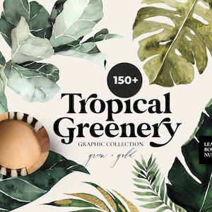 May include: An image showcasing a tropical greenery graphic collection. The design features watercolour leaves in green and gold, a wooden bowl, and the text "Tropical Greenery Graphic Collection". The image also includes the text "150+".