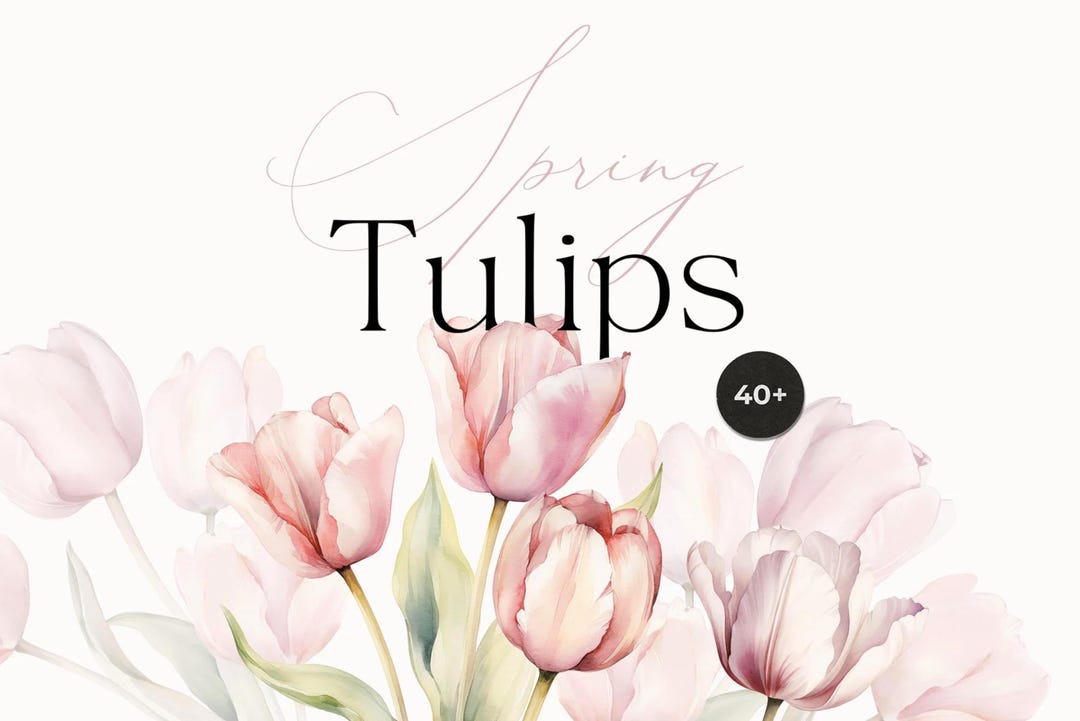 Watercolor Tulips Clipart - Hand-painted Spring Floral for Invites (PNG ...
