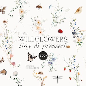 Wildflowers clipart - Neutral Watercolor Spring Meadow Tiny Flowers for invites (PNG)
