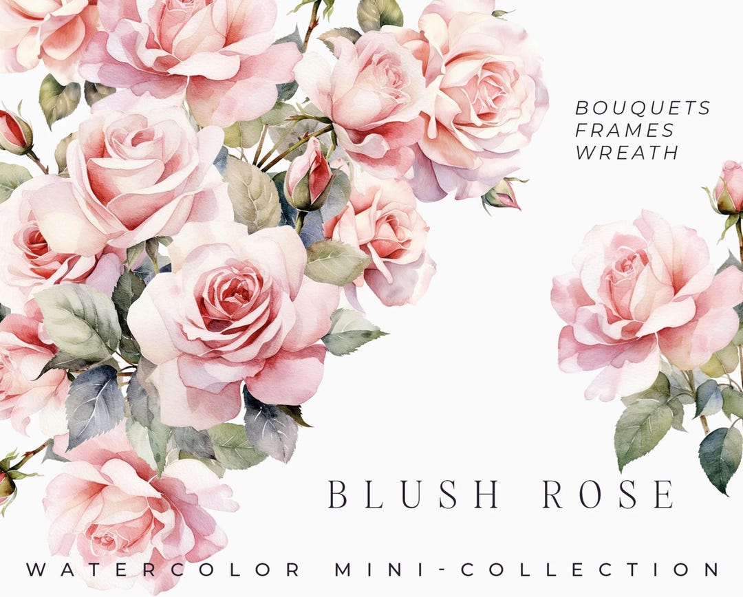 Watercolor Blush Rose Clipart - Pink Roses Floral Set for Invites (PNG ...