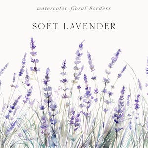 Può includere: Illustrazione ad acquerello di un bordo floreale con morbidi fiori di lavanda in tonalità viola e verde. L'immagine include il testo "SOFT LAVENDER" e "watercolor floral borders" su uno sfondo color crema.